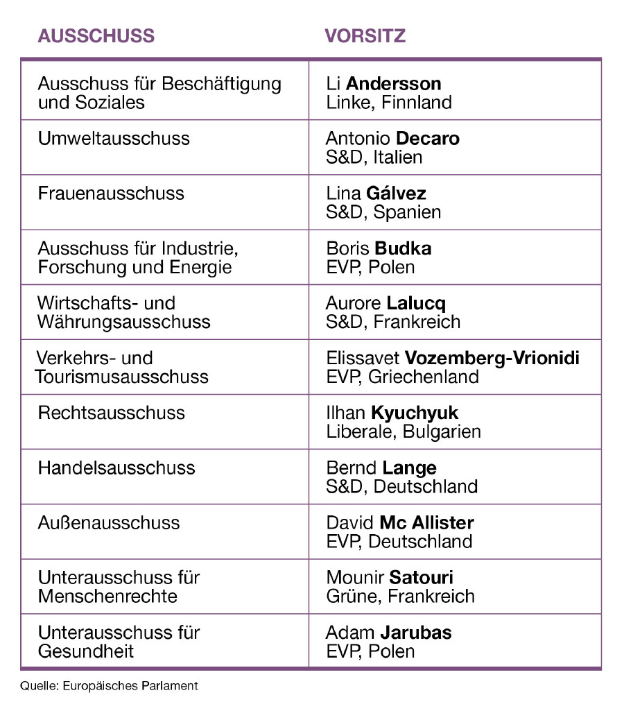 Die Tabelle zeigt für einzelne ausgesuchte Ausschüsse, wer die Leitung der jeweiligen Gremien übernimmt © AK WIEN Die Tabelle zeigt für einzelne ausgesuchte Ausschüsse, wer die Leitung der jeweiligen Gremien übernimmt