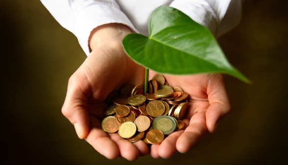 Hände halten Geld und Pflanze
