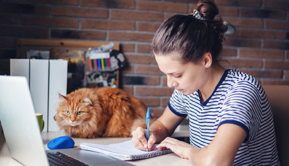 Junge Frau arbeitet zu Hause, die Katze sieht zu.